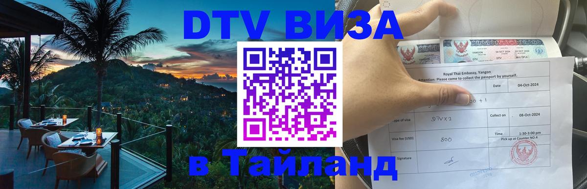 Оформление DTV визы под ключ: стоимость и тарифы, только загранпаспорт - 